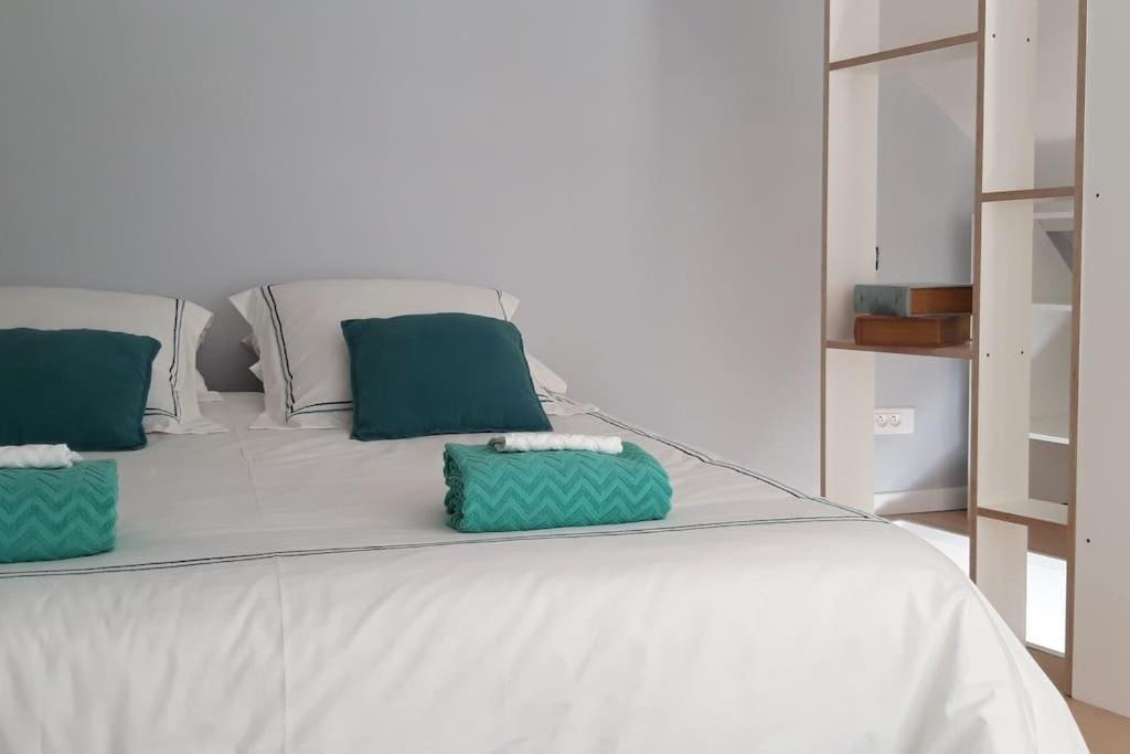 Duplex Le Colombier - Beautiful Charming Home マニー＝ル＝オングル エクステリア 写真