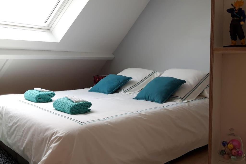 Duplex Le Colombier - Beautiful Charming Home マニー＝ル＝オングル エクステリア 写真